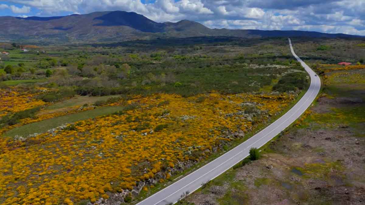 Vista aérea de lameiro do Barroso, atravessado por uma estrada.