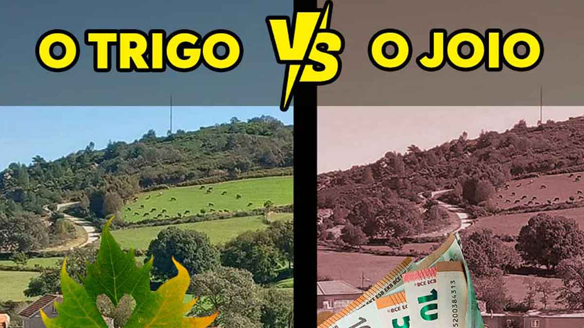 Efeito da mineração no Barroso