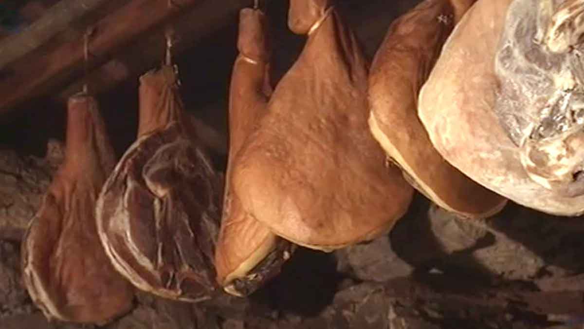 Diversos presuntos pendurados em trave de madeira