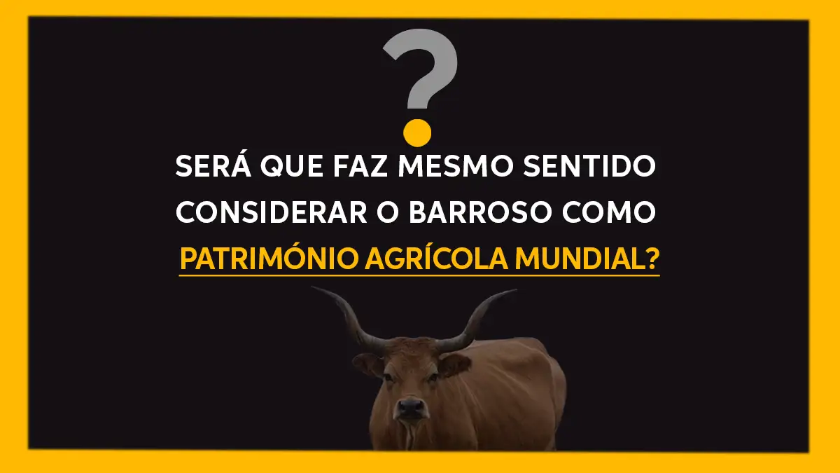 Cartaz preto e amarelo com a pergunta Será que faz mesmo sentido considerar o Barroso como Património Agrícola Mundial e a cabeça de uma vaca barrosã na penumbra